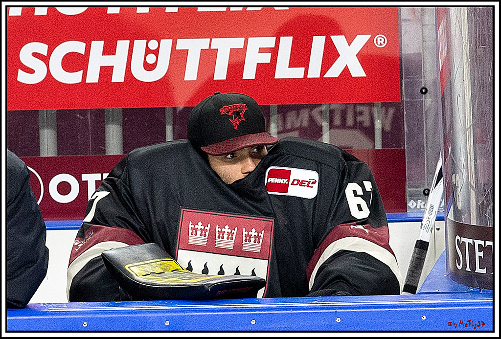 PENNY DEL;  Koelner Haie - Grizzlys Wolfsburg; Koeln, 29.01.2021